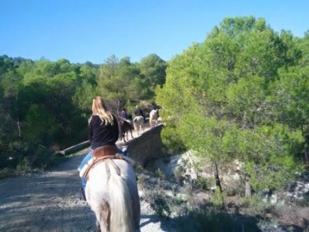 Horseback Riding in Murcia
